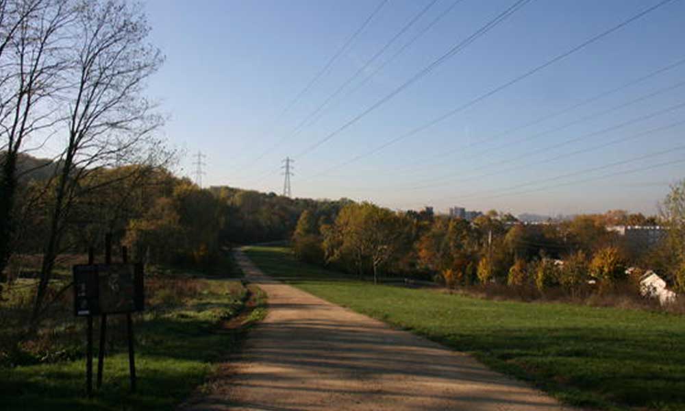 Butte Pinson