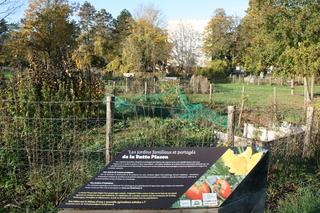 les-jardins-et-le-poulailler-partagés Les jardins et le poulailler partagés