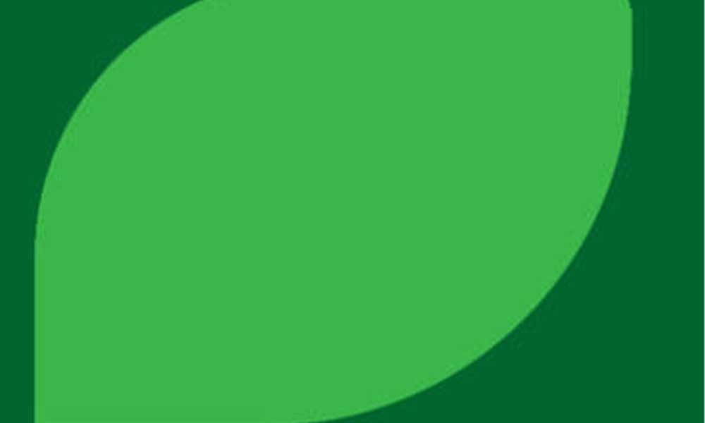 La plante des champs