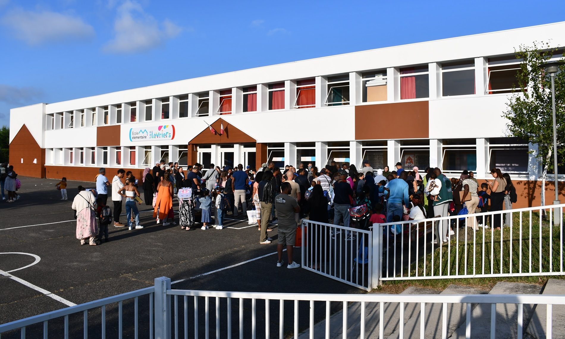 ecole levriers
